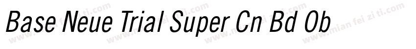 Base Neue Trial Super Cn Bd Obl字体转换